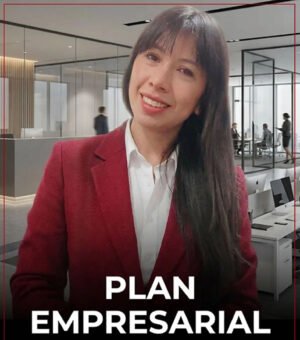 Contador para Empresas Pymes 2